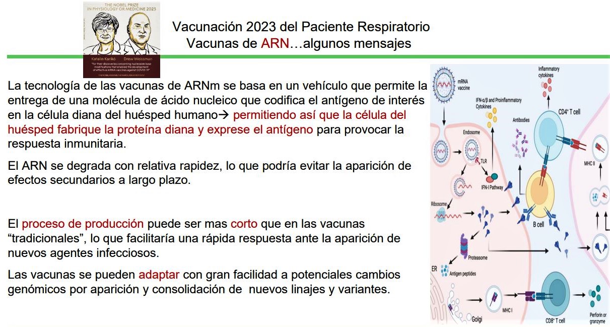 Vacunación frente al coronavirus SARS-CoV-2