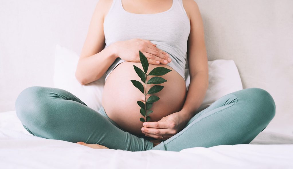 sobrepeso fertilidad