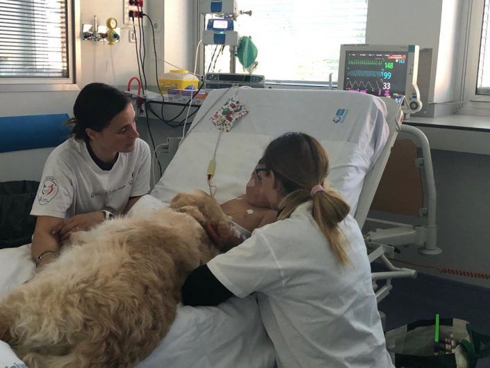 perros niños cuidados intensivos.