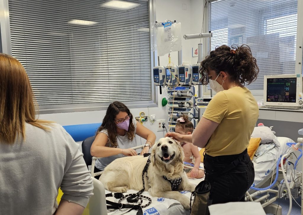 Perros niños cuidados intensivos