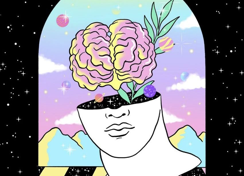 emociones cerebro