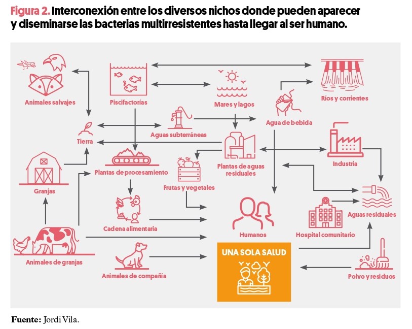 Resistencias antimicrobianas