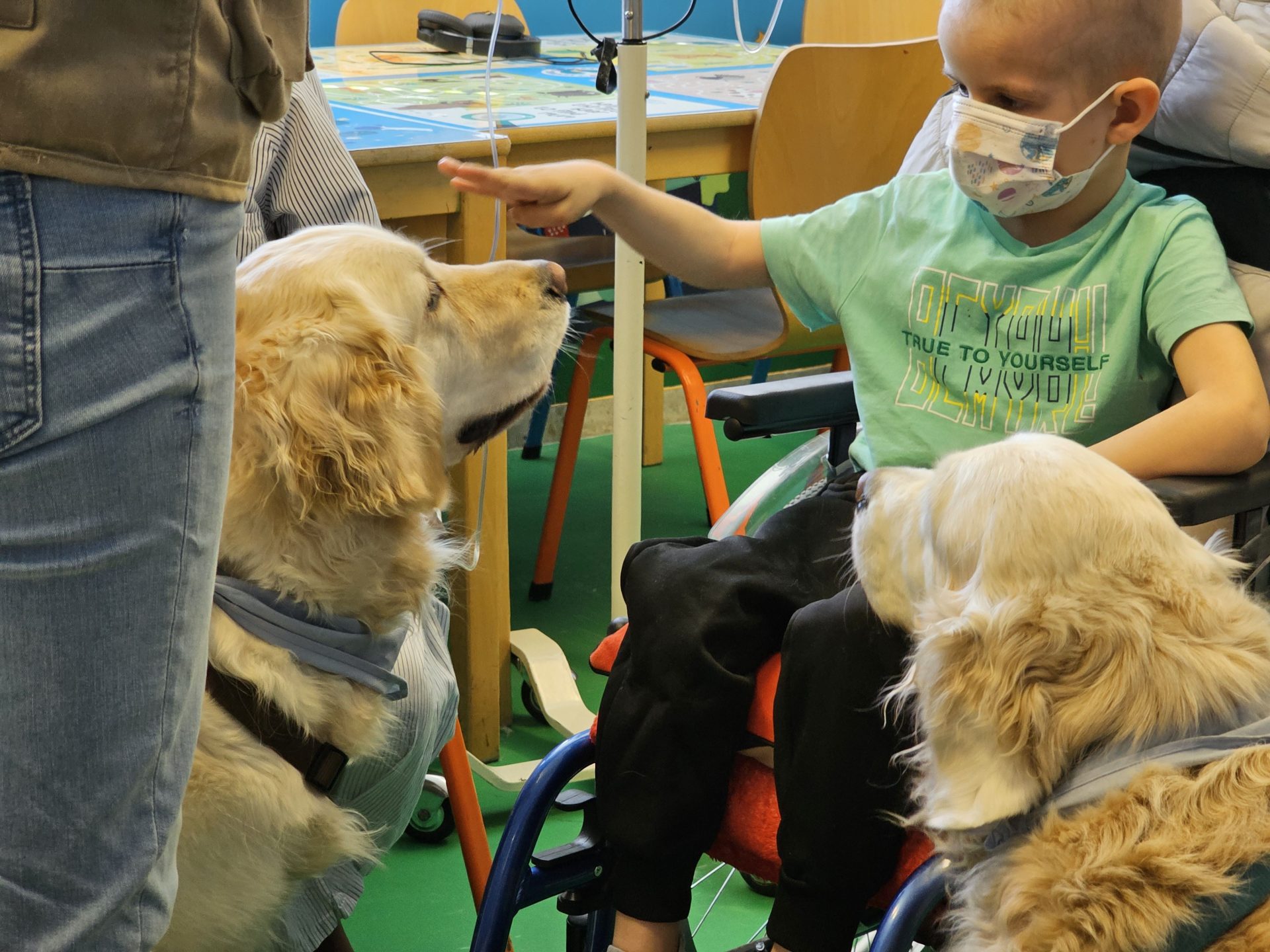 intervención asistida de perros con niños con tumores cerebrales