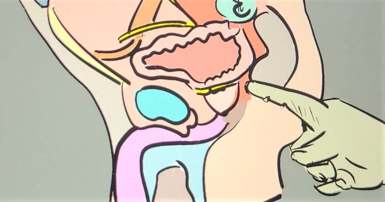 Tacto rectal, prueba diagnóstica.