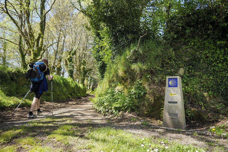 consejos caminar