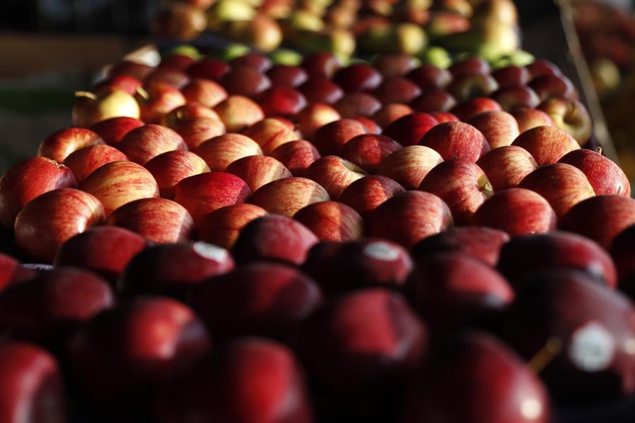 alimentación salud