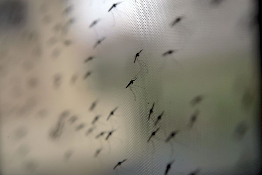 malaria Eiropa