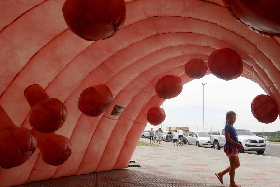 cáncer colorrectal infección bacteriana