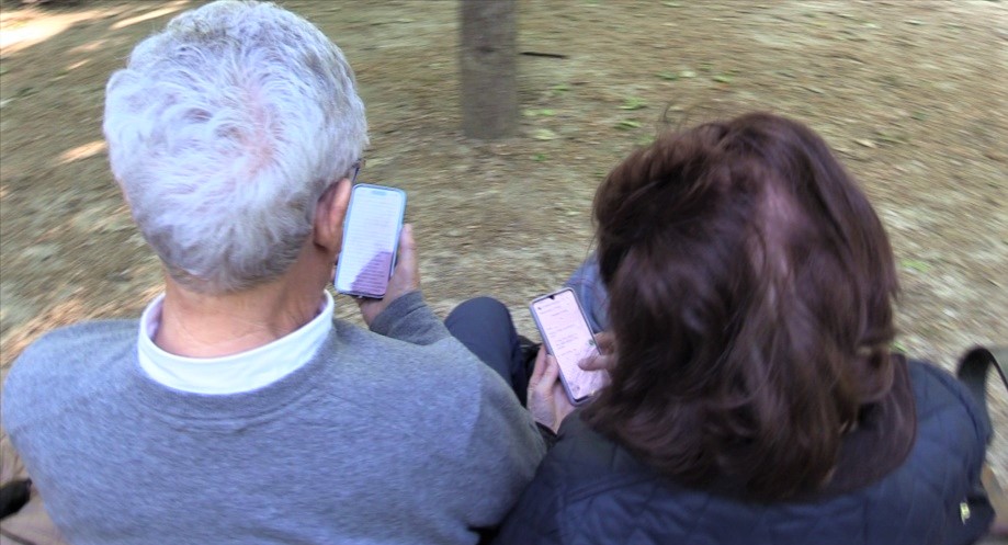 pareja