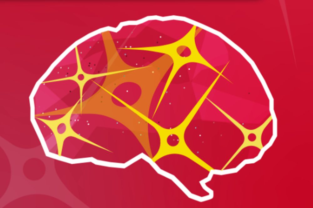 plan cerebro