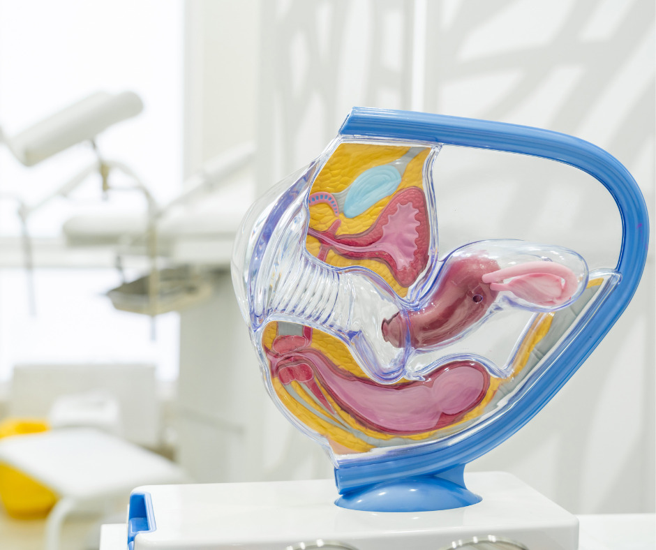 cáncer ginecológio detectar