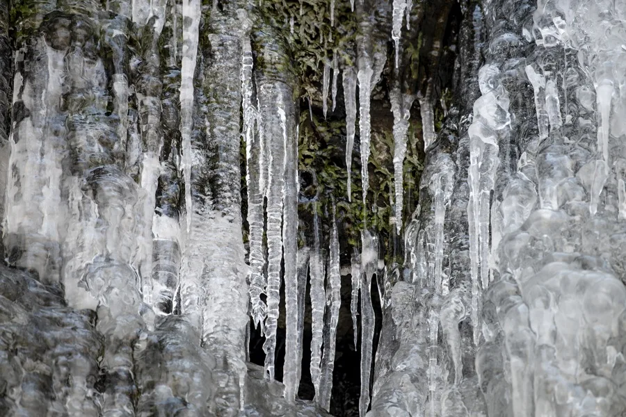 Infecciones respiratorias